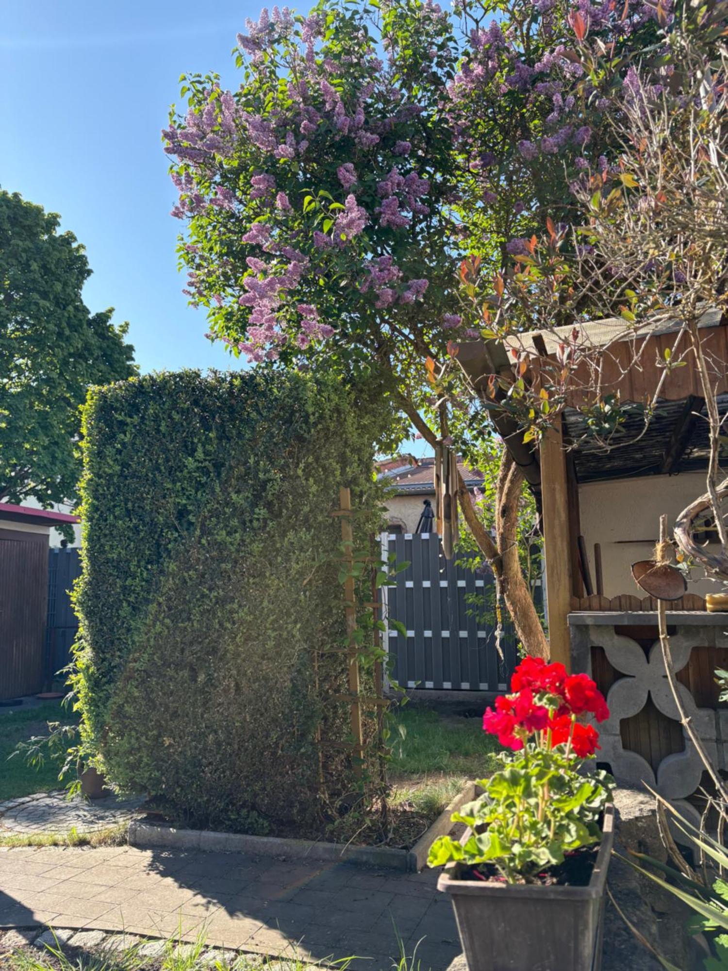 Haus Hannah Meiningen Eksteriør bilde